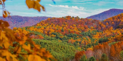 When Will Fall Foliage Peak in Northern Virginia in 2025?