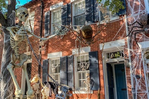 Northern Virginia Fall Festivals That Define Autumn in Our Region